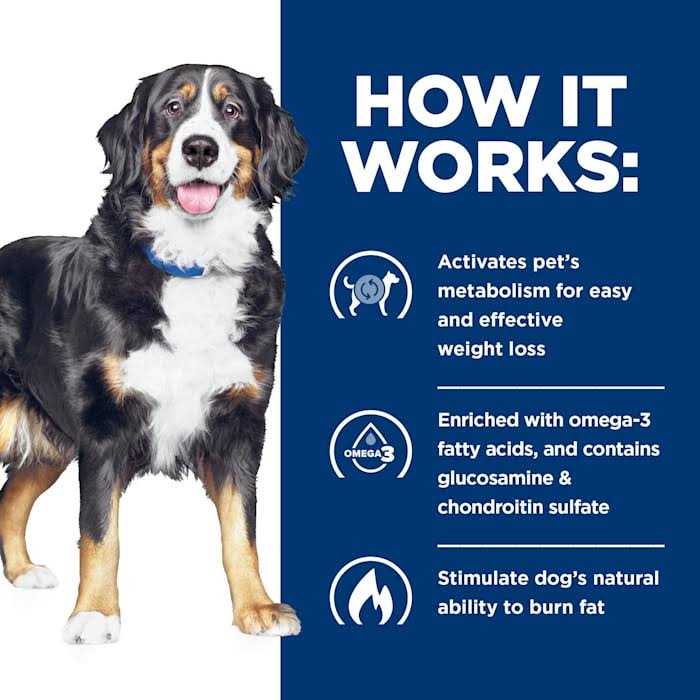 Hill’s Prescription Diet Metabolic + Mobility Weight & Joint Care Chicken Flavor Dry Dog Food - Healthber