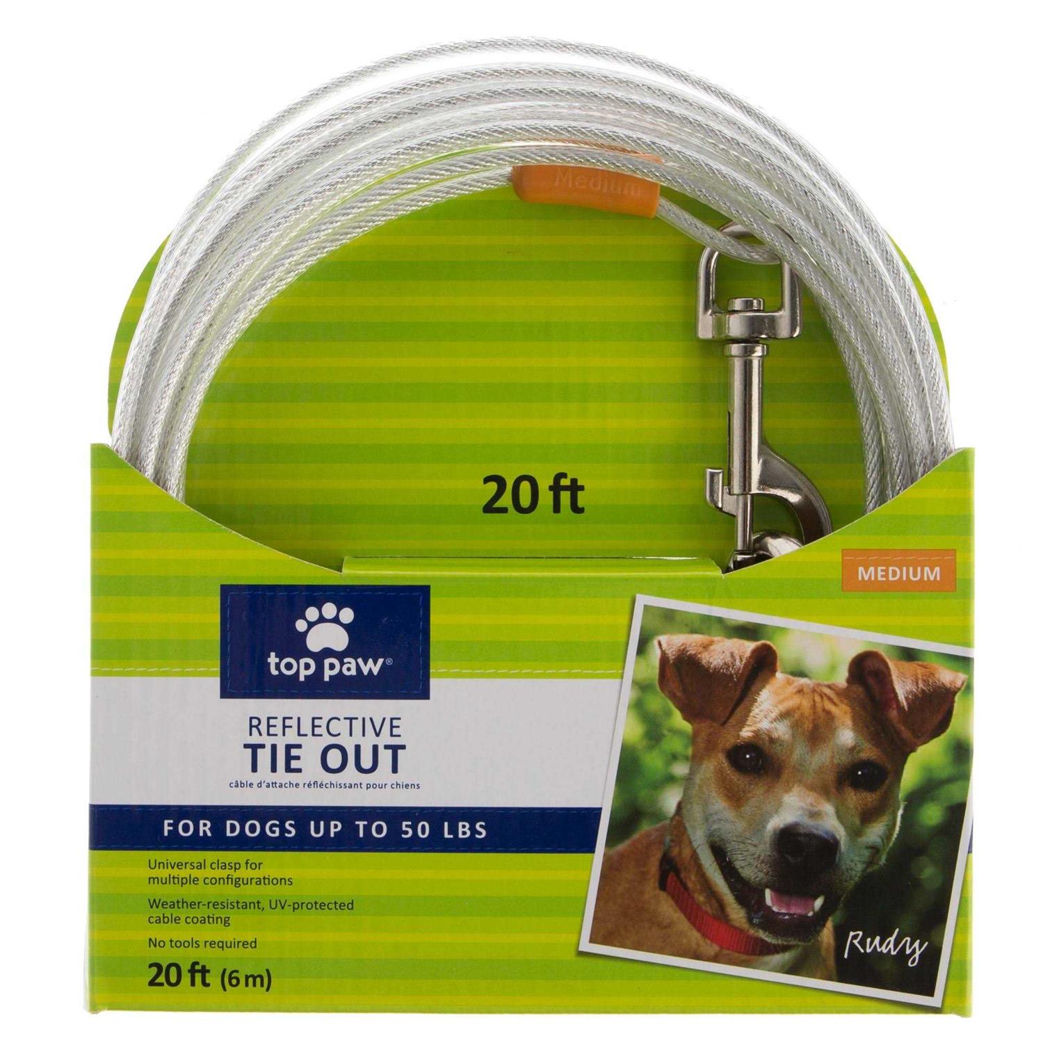 Top Paw Reflective Dog Tie Out - Healthber