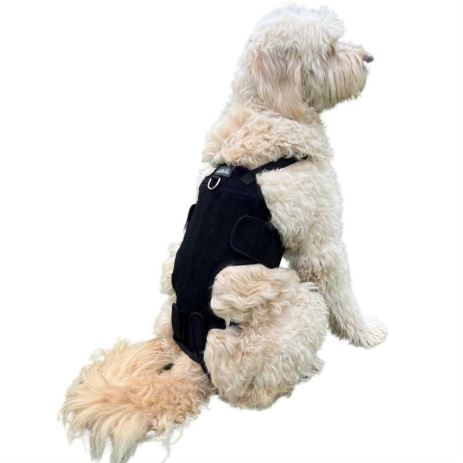 Labra Dog Canine K9 Back Brace IVDD Spine Pain & Spinal Injury - Healthber