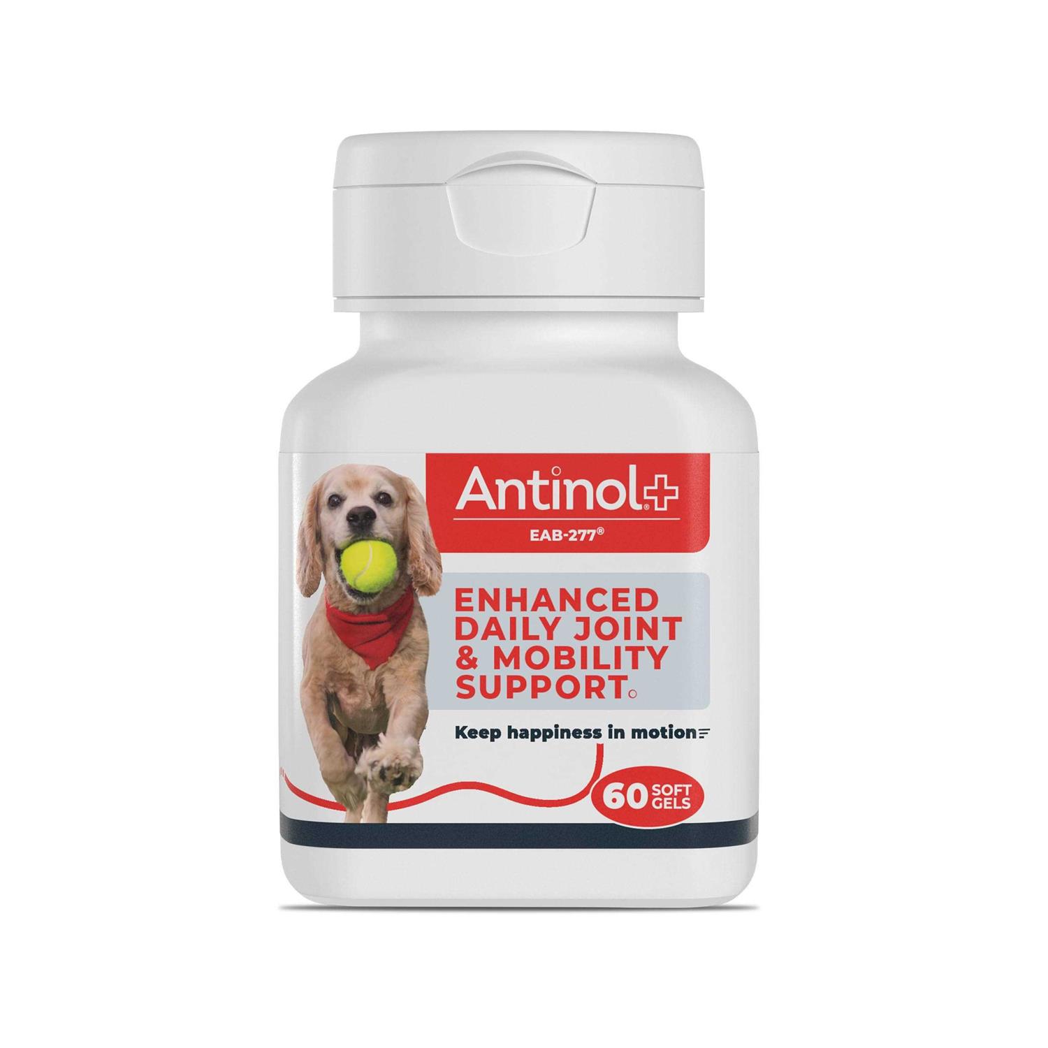 Antinol Plus 60ct - Healthber