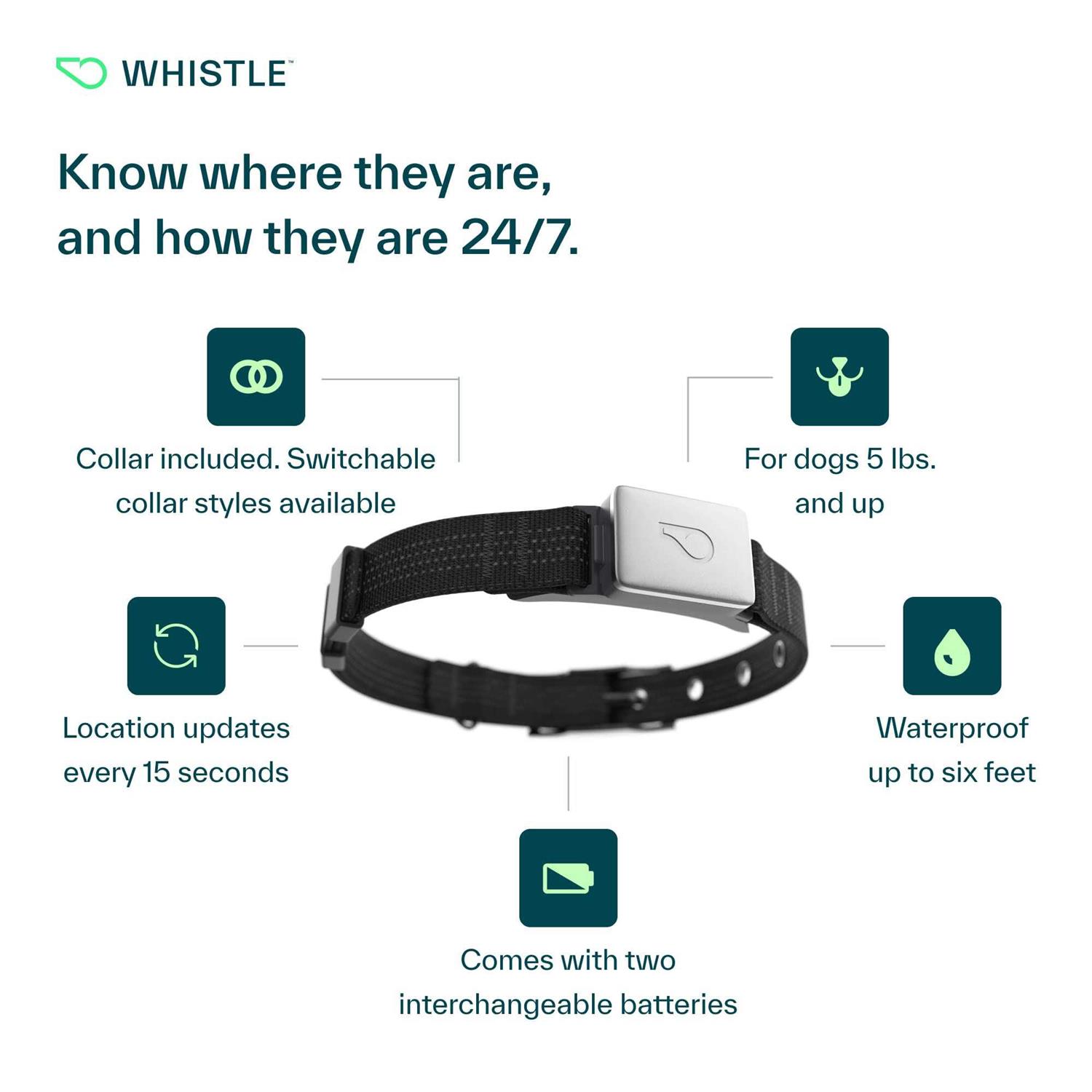 Whistle Switch Smart Collar Kit GPS location Health & Fitness - Healthber
