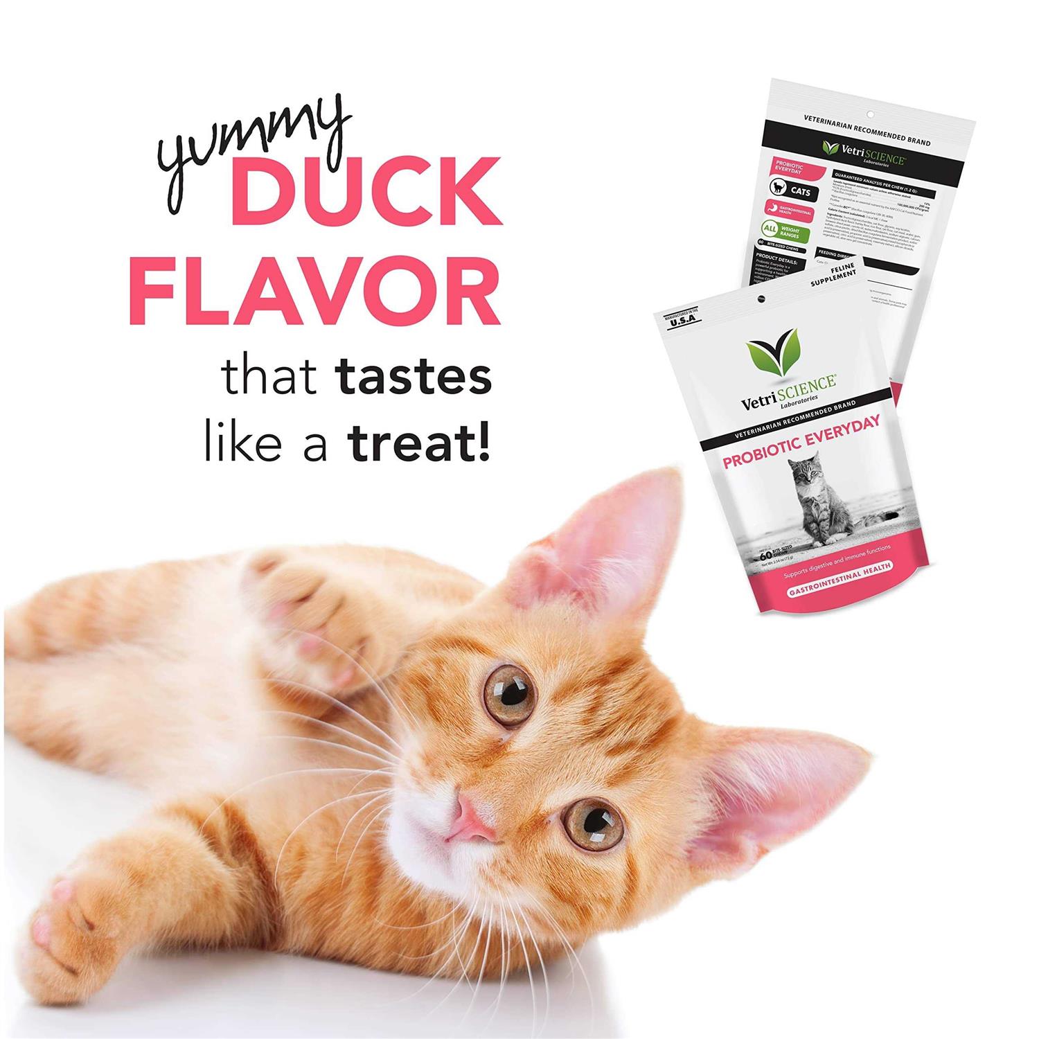 VetriScience Probiotic Everyday for Cats - Healthber