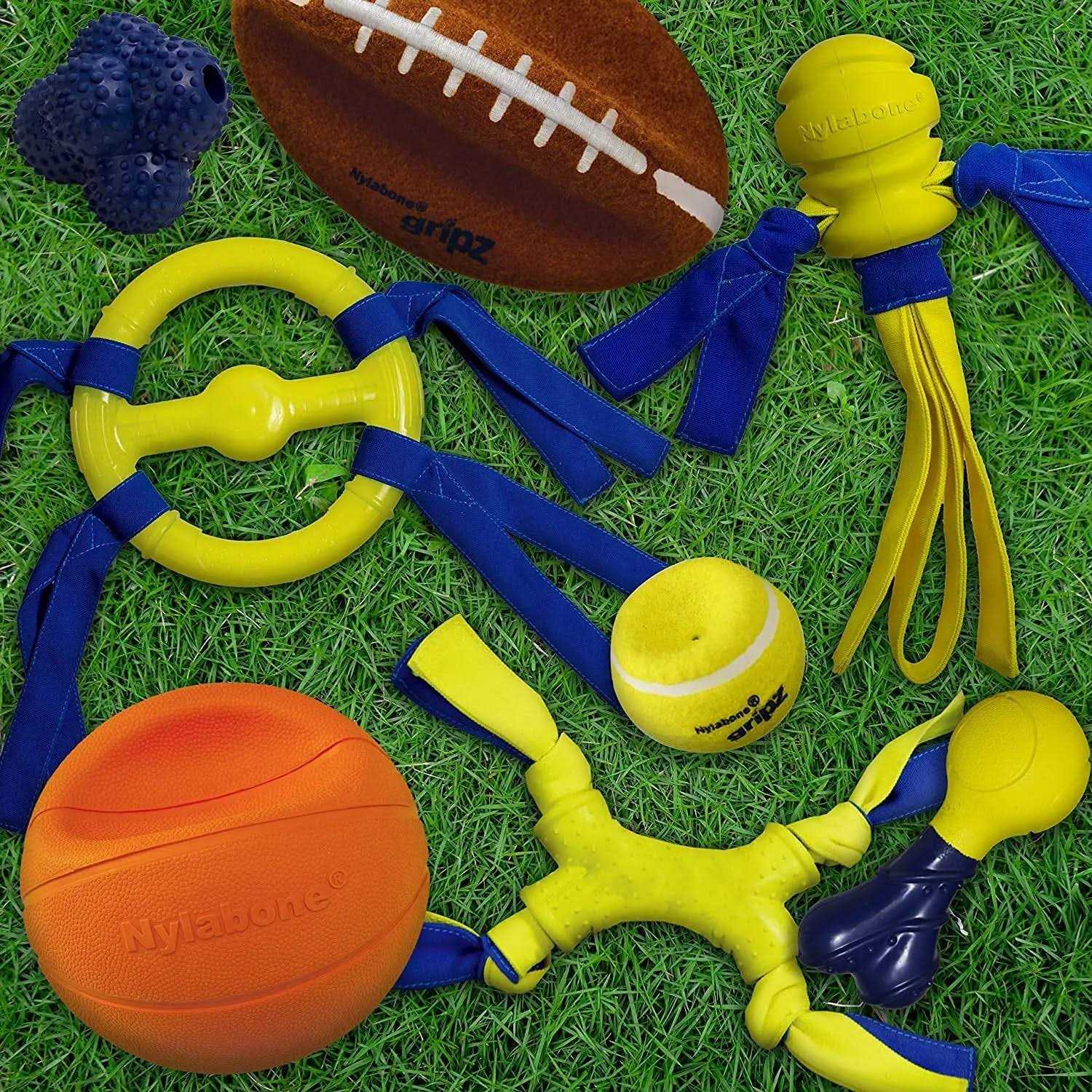 Nylabone Power Play Football Gripz Dog Toy - Healthber