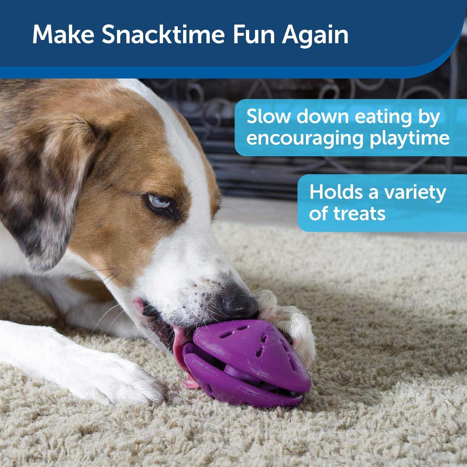 PetSafe Busy Buddy Twist n Treat Dog Toy - Healthber