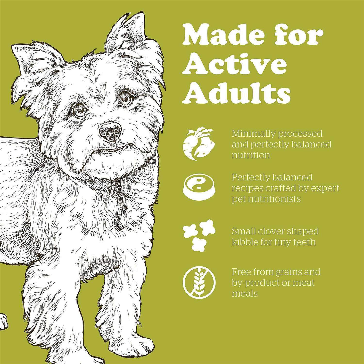 Now Fresh Grain-Free Small Breed adult Recipe Dry Dog Food - Healthber