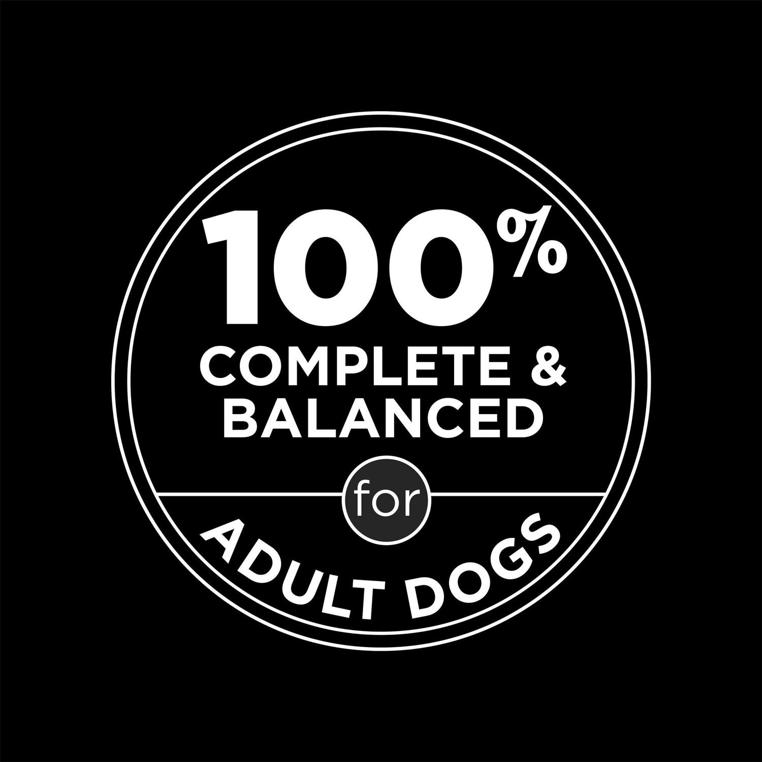 Moist & Meaty High Protein Chicken & Beef Flavor Dry Dog Food - Healthber