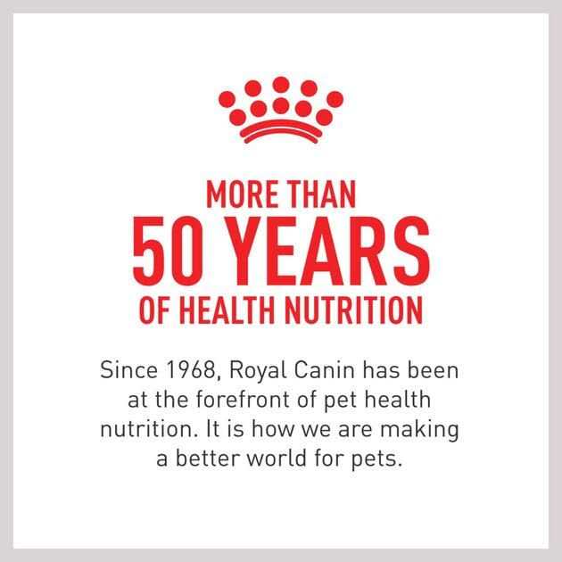 Royal Canin Small Adult Wet Dog Food - Healthber