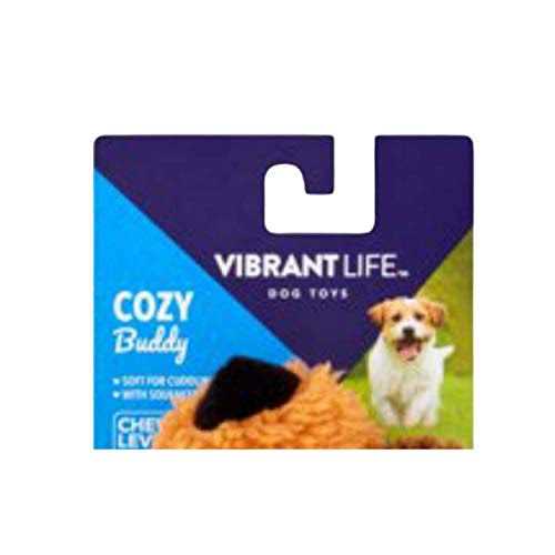 Vibrant Life Cozy Buddy Floppy Dog Toy - Healthber