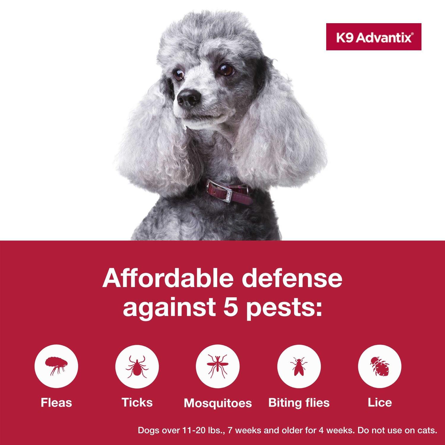 K9 Advantix Flea Tick & Mosquito Prevention for Medium Dogs - Healthber