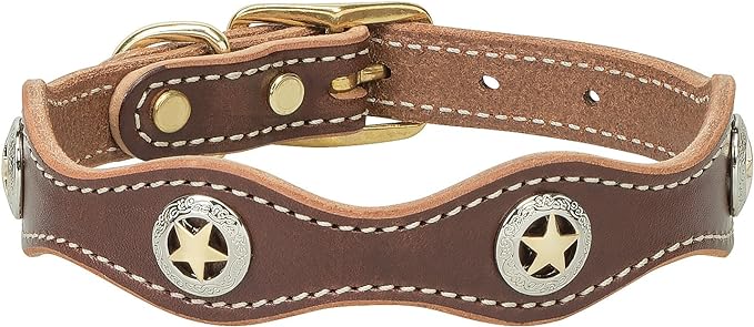 Weaver Lonestar Dog Collar - Healthber