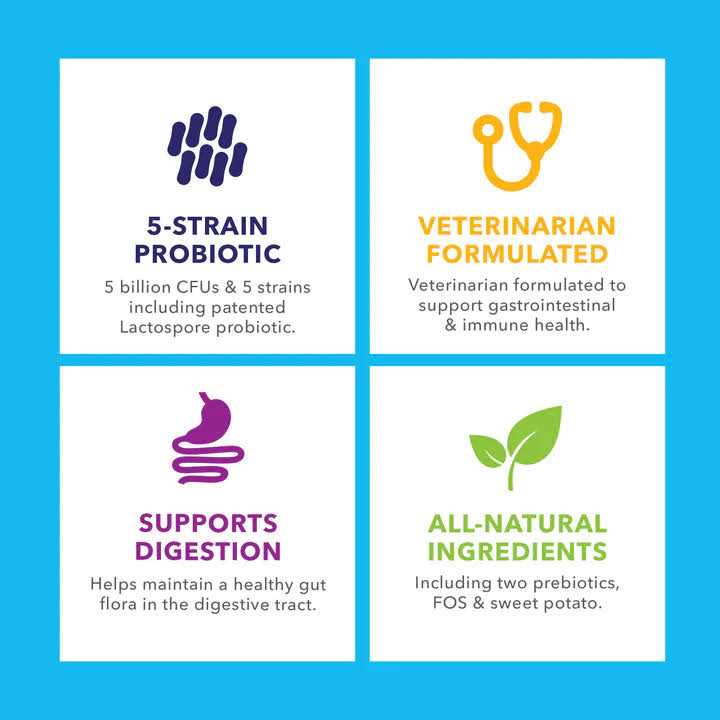 Profivex Probiotic Powder for Dogs & Cats - Healthber