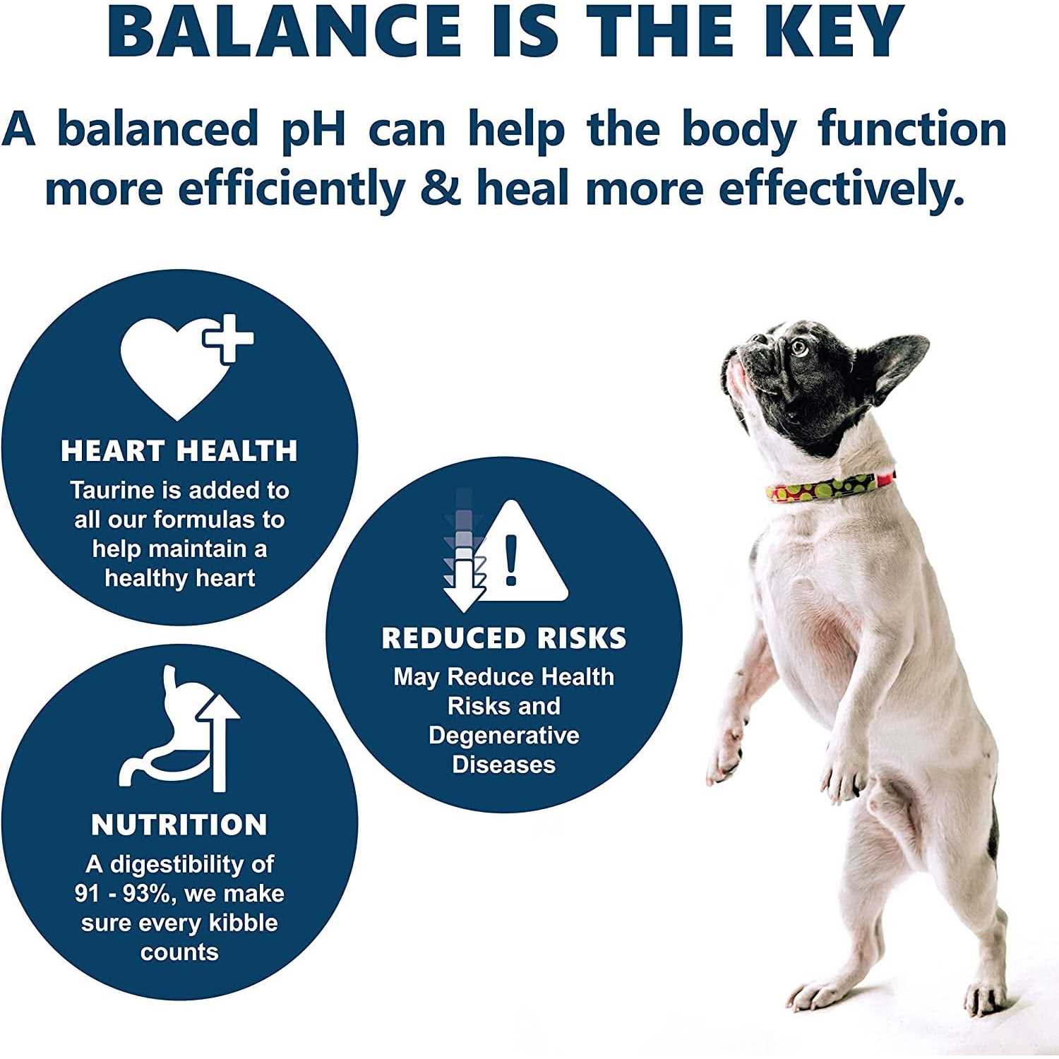 Canine Caviar Free Spirit Holistic Dry Dog Food - Healthber