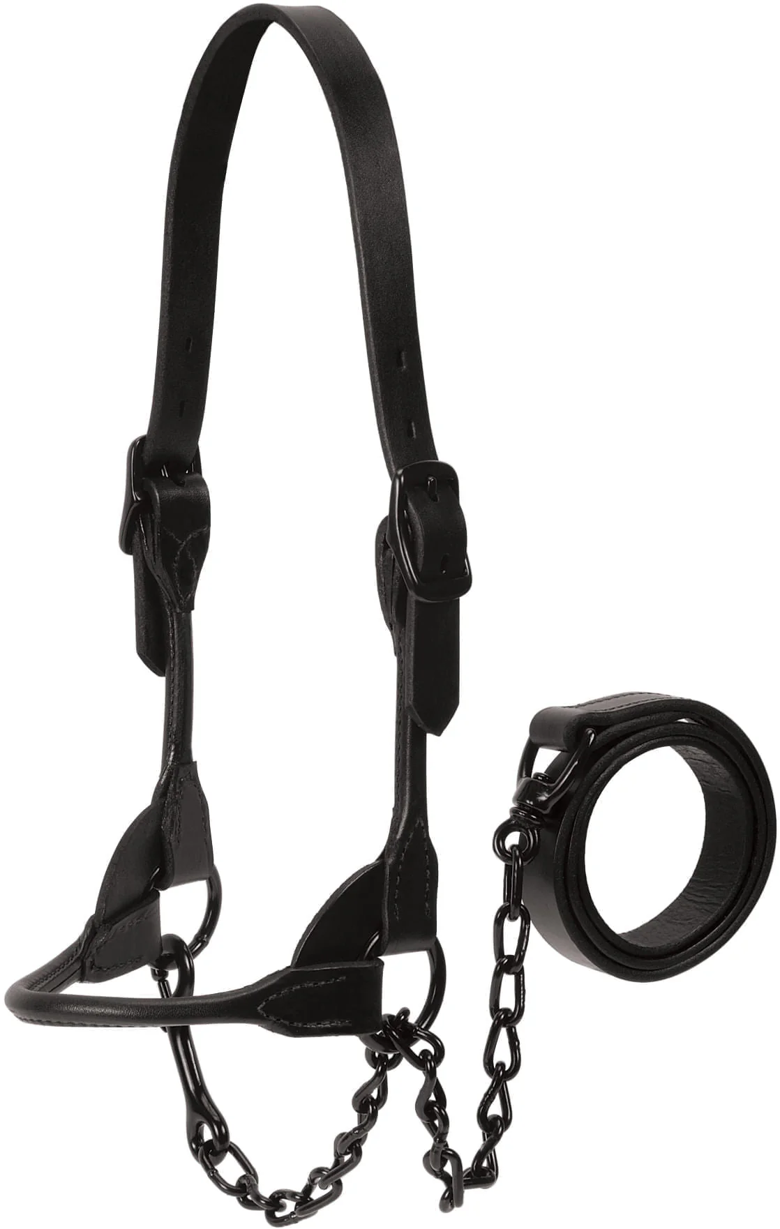 Kirk Stierwalt Black Magic Show Halter - Healthber