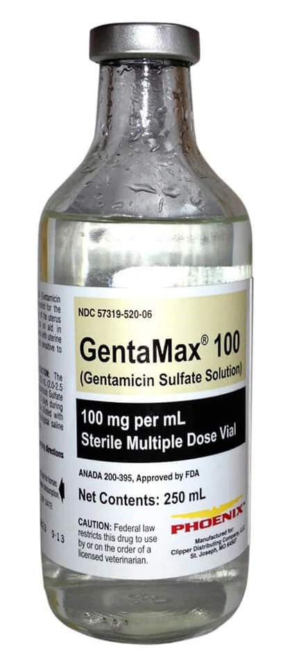 Rx GentaMax (gentamicin sulfate solution) 100 mg/mL Injection for Horses - Healthber