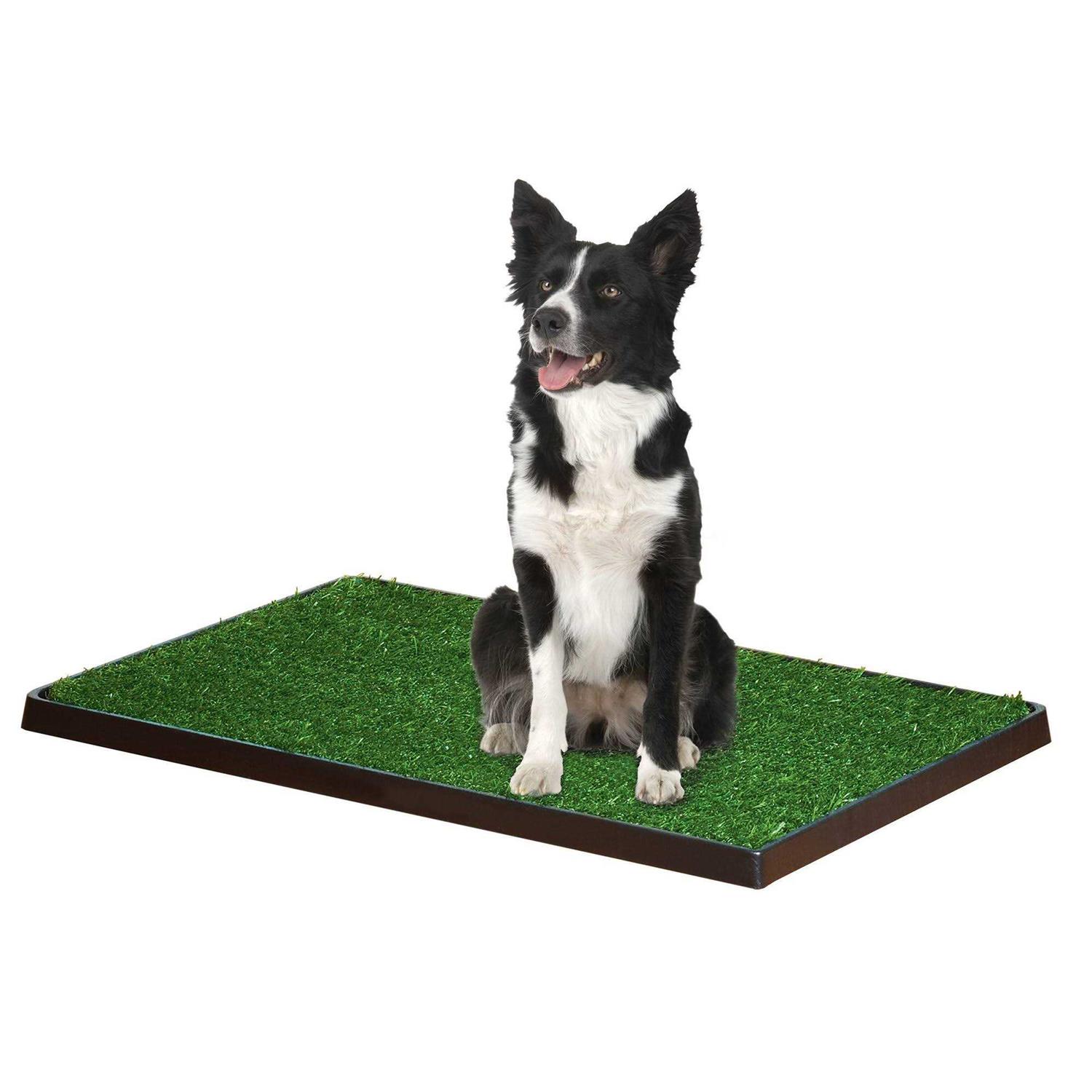 Four Paws Wee Wee Patch Indoor Potty - Healthber