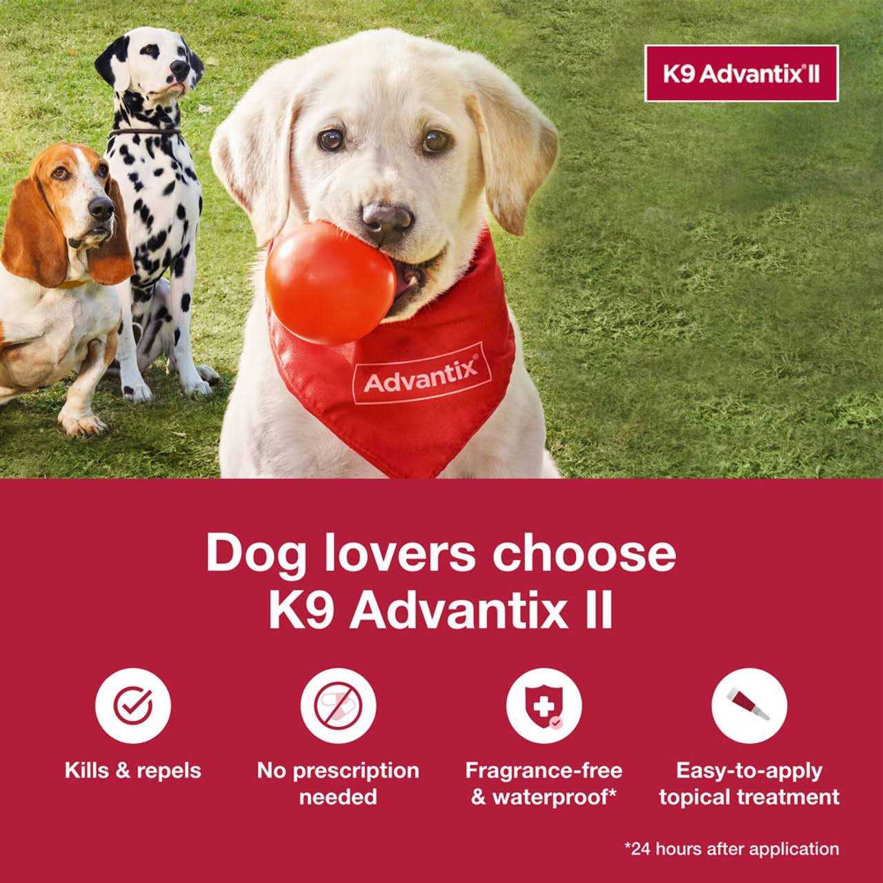 Bayer K9 Advantix II for Extra Large Dogs - Healthber