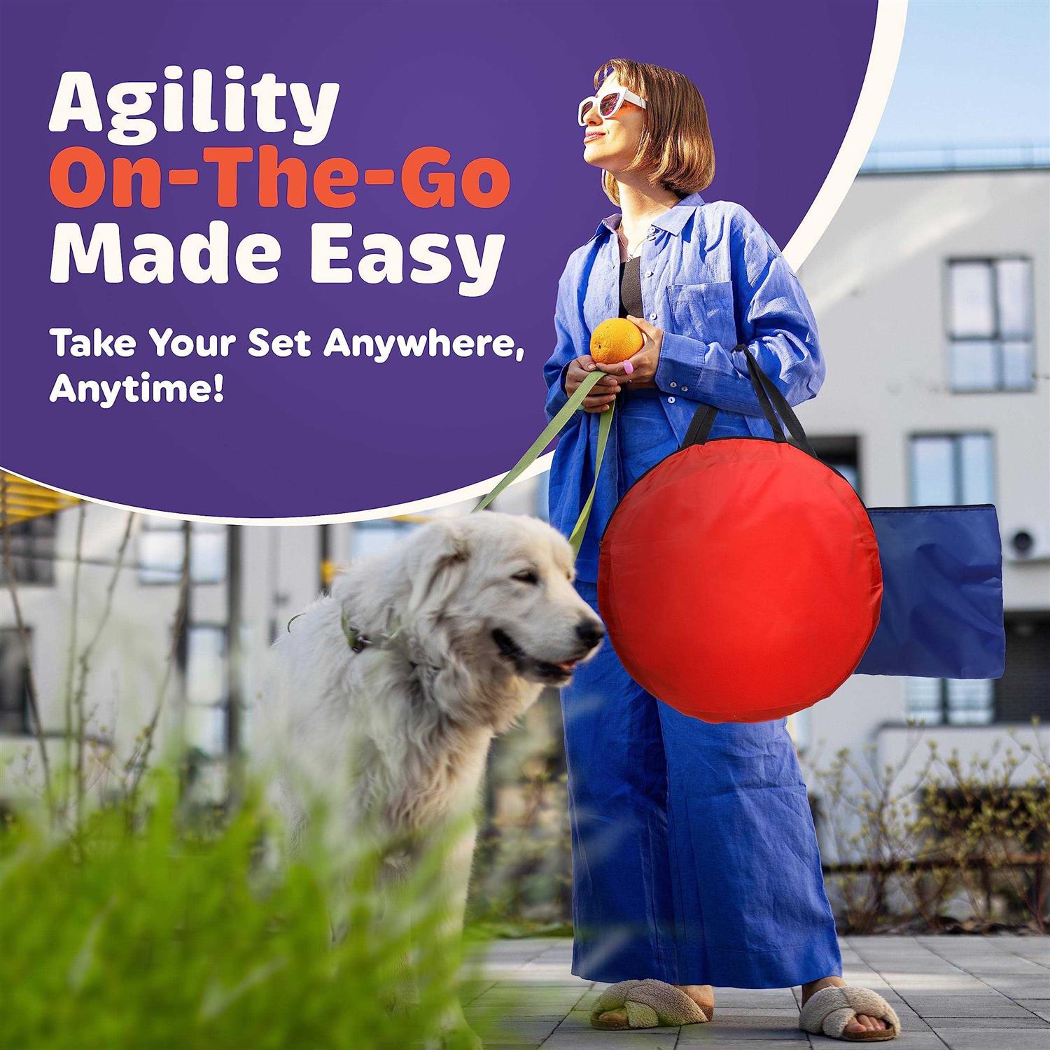 Willow Pet Products 15 Piece Dog Agility Course Backyard Set Dog Agility Training Equipment Set Includes - Healthber