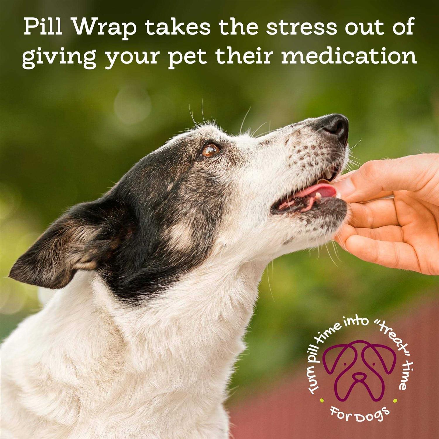 Riley’s Pill Wrap for Dogs Delicious Peanut Butter Flavored Pill Paste for Dogs - Healthber