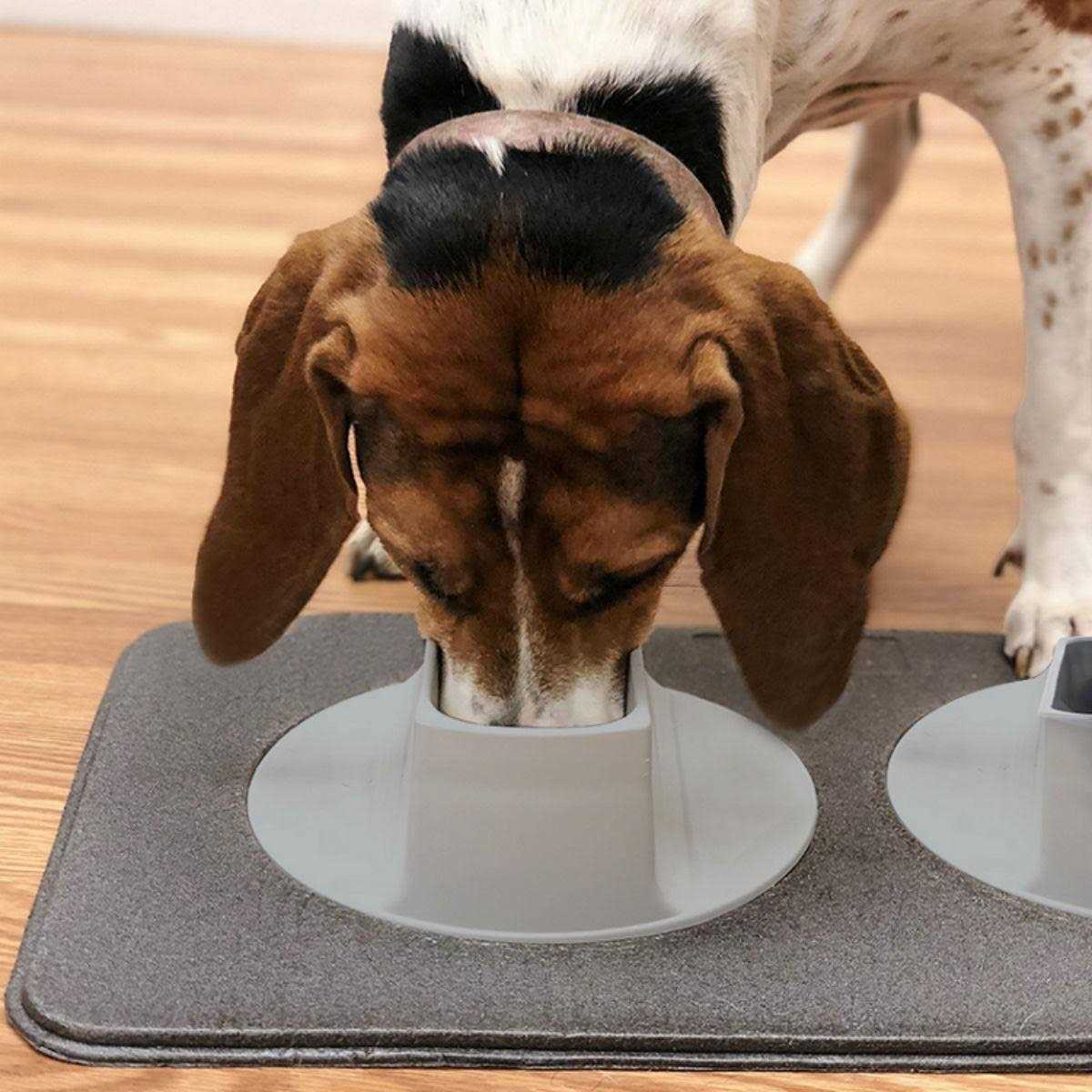 Flipo Ear-Clear Pet Feeding Station - Healthber