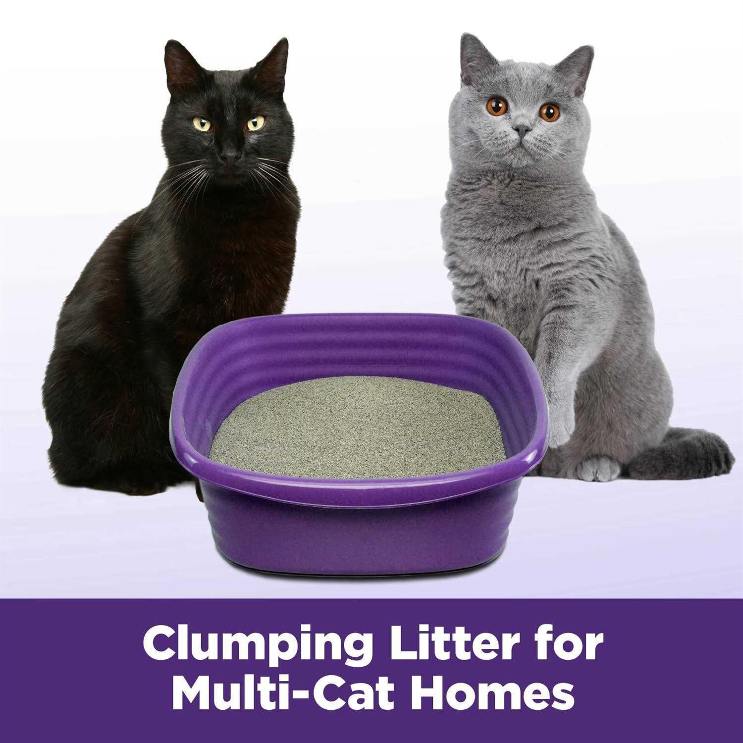 Arm & Hammer Slide Easy Clean Up Multi-Cat Clumping Litter - Healthber