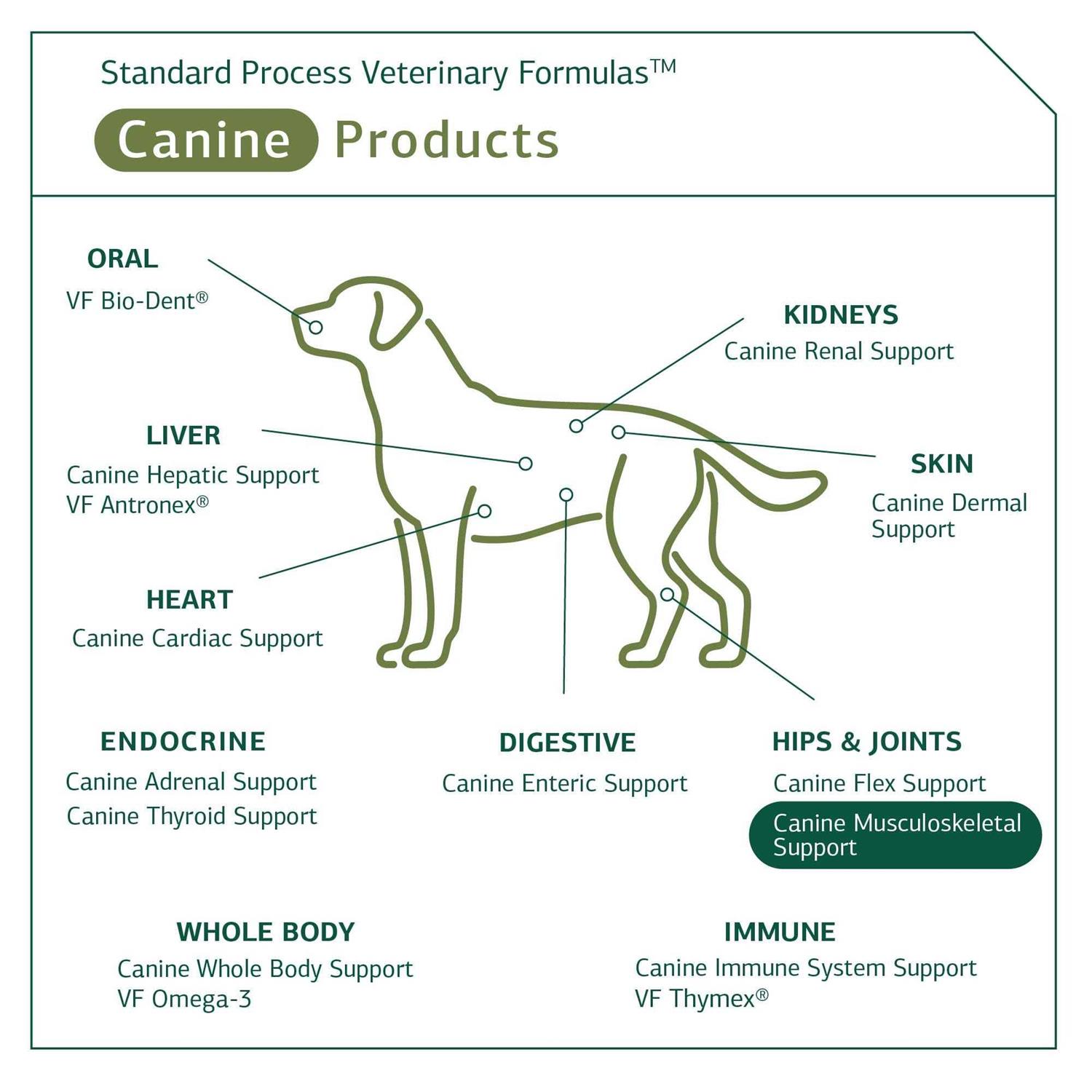 Canine Musculoskeletal Support Standard Process - Healthber