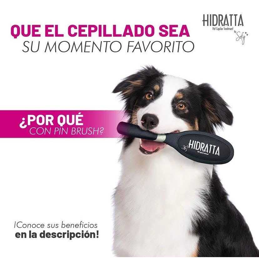 Hairbrush for pets - Healthber
