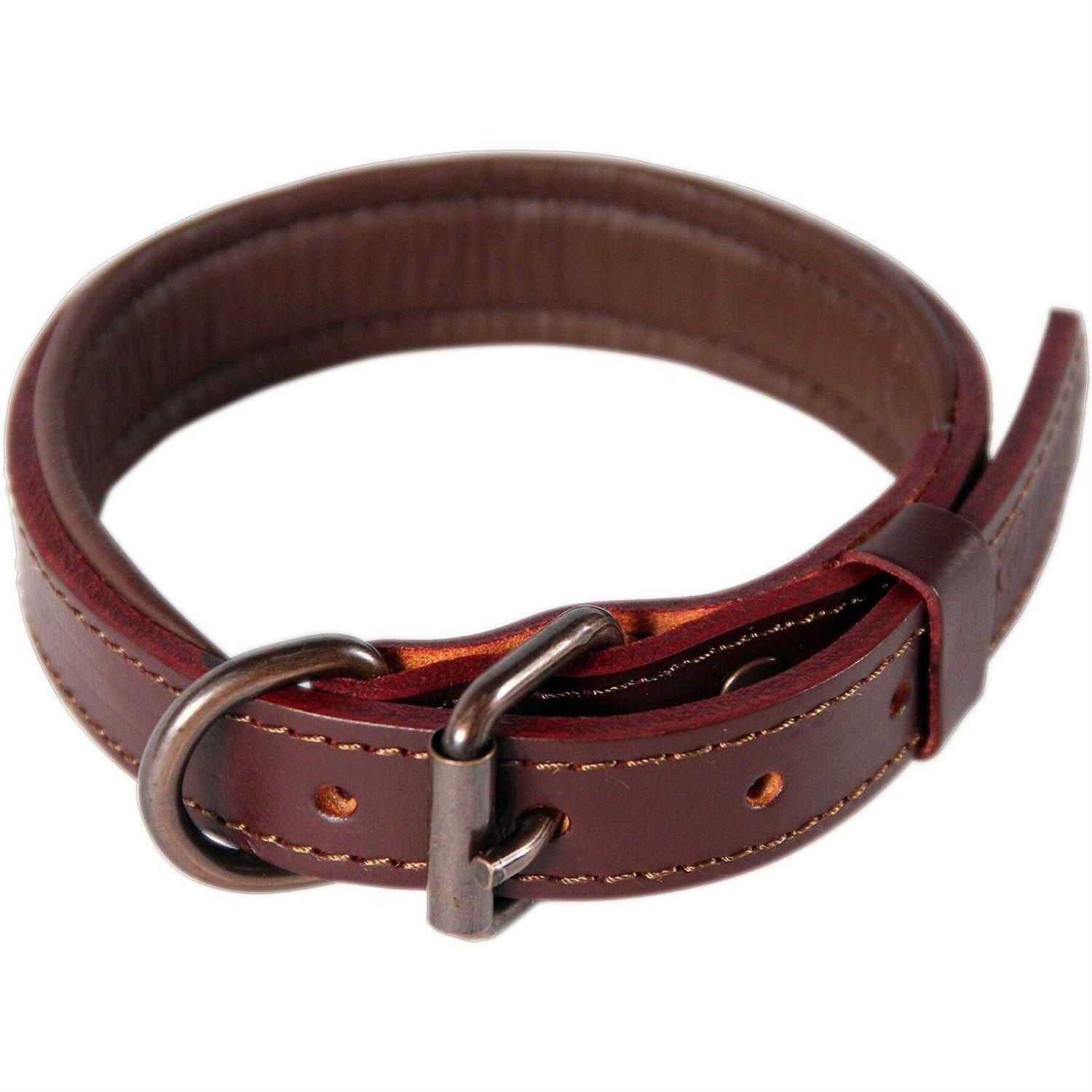 Logical Leather Padded Dog Collar Best Full Grain Genuine Leather Collar - Healthber