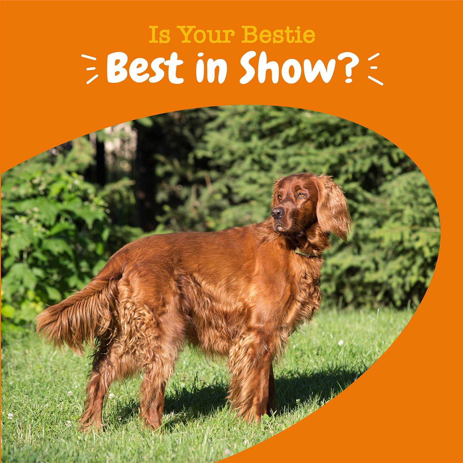Zesty Paws Omega Bites for Dogs Skin - Healthber