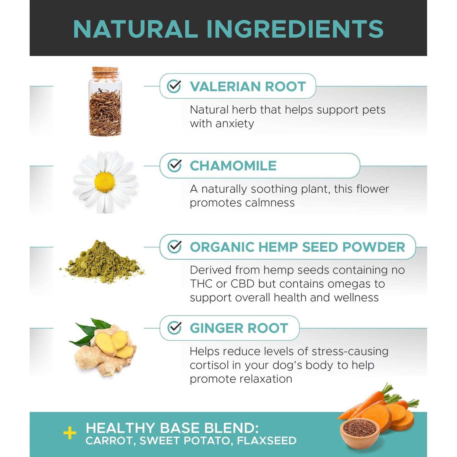 Pet Honesty Hemp Calming Beef Live Flavor Soft Chews for Dogs - Healthber