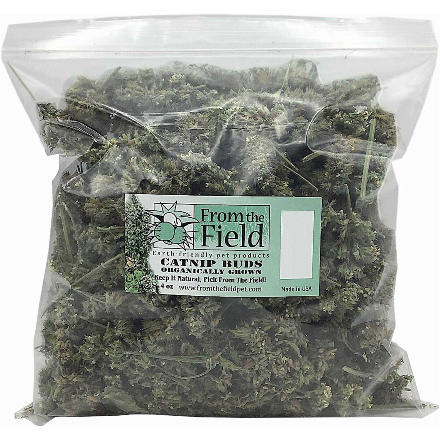 From The Field Catnip Buds Jumbo 4 OZ Bag - Healthber