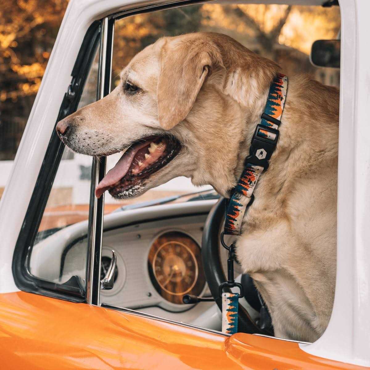 Wolfgang Martingale Dog Collar - Healthber