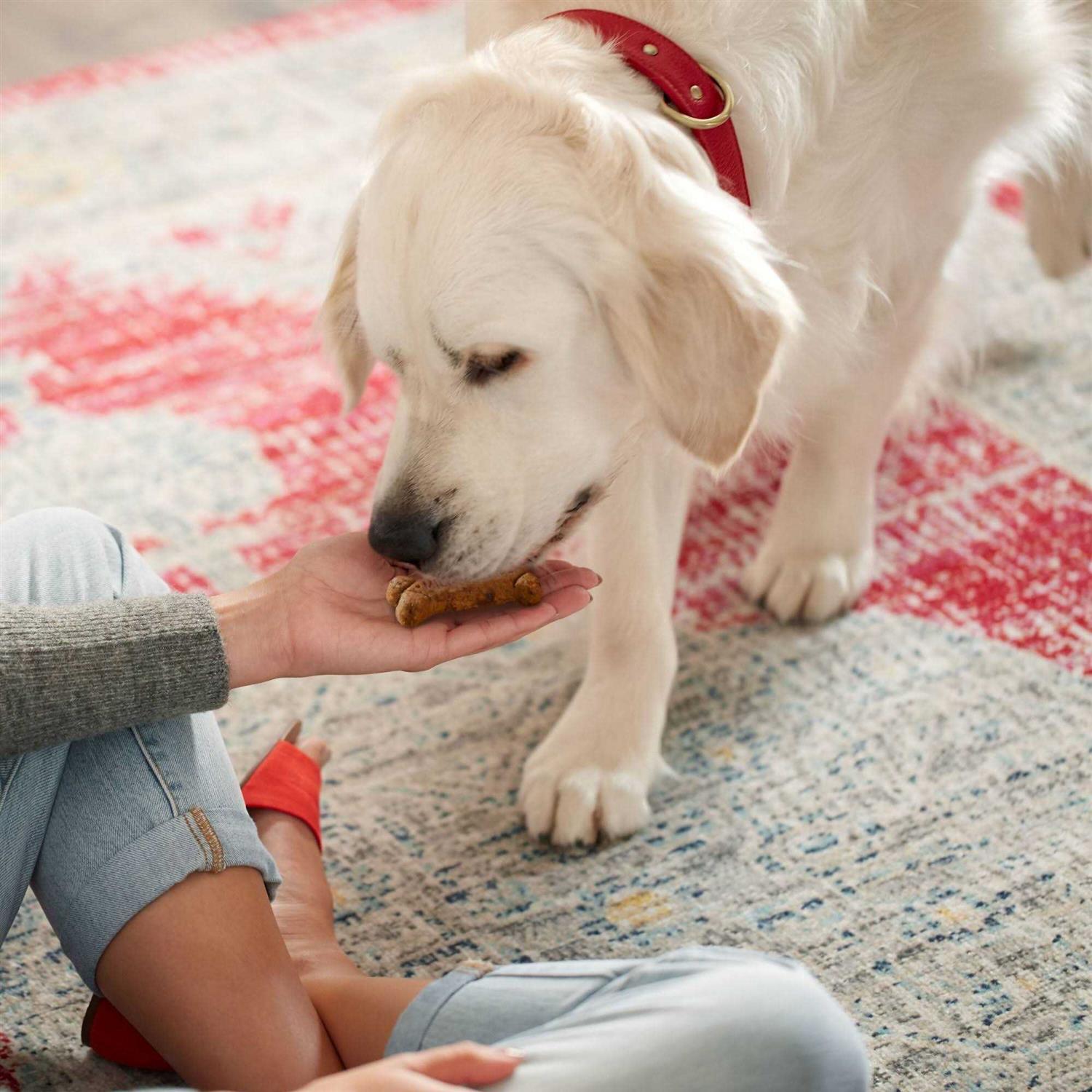 Milk-Bone GravyBones Dog Biscuits - Healthber
