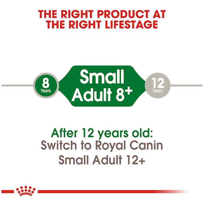 Royal Canin Small Adult 8+ Dry Dog Food - Healthber