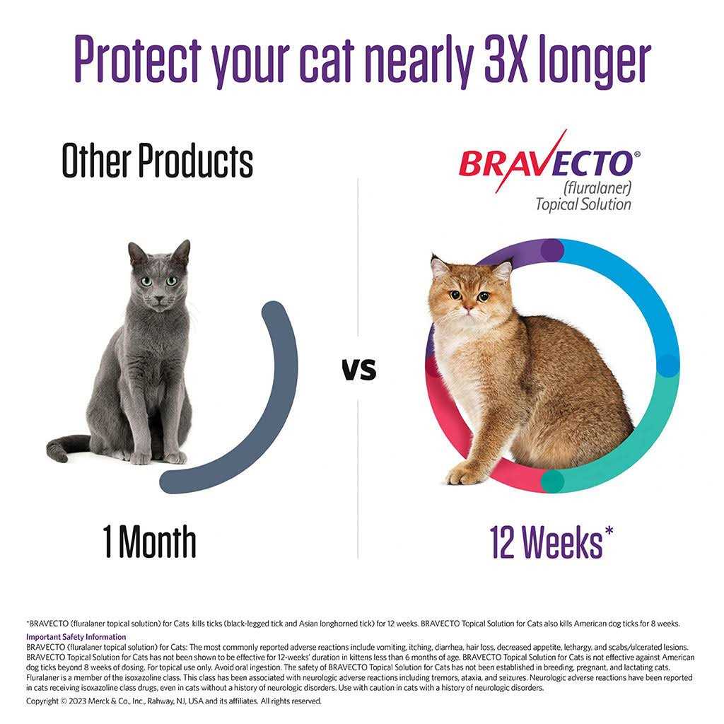 Bravecto Topical Solution for Cats - Healthber