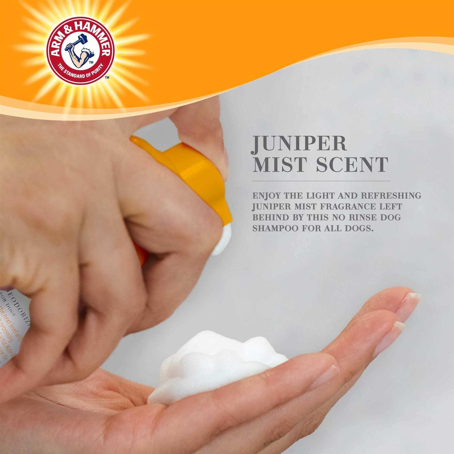 Arm & Hammer Ultra Fresh No Rinse Deodorizing Foam for Dogs Juniper Mist - Healthber