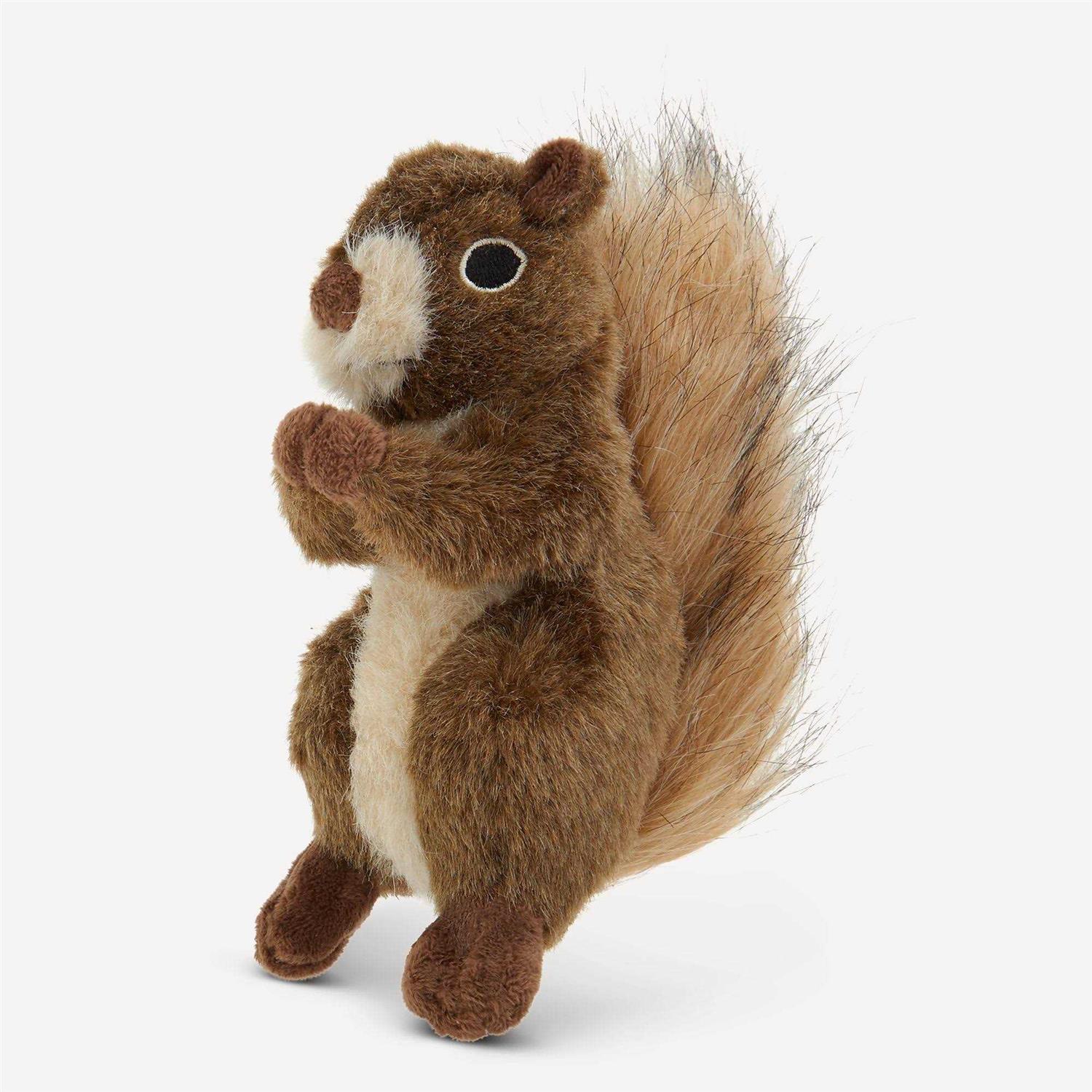 Joyhound Crazy Comfy Realistic Squirrel Dog Toy - Healthber
