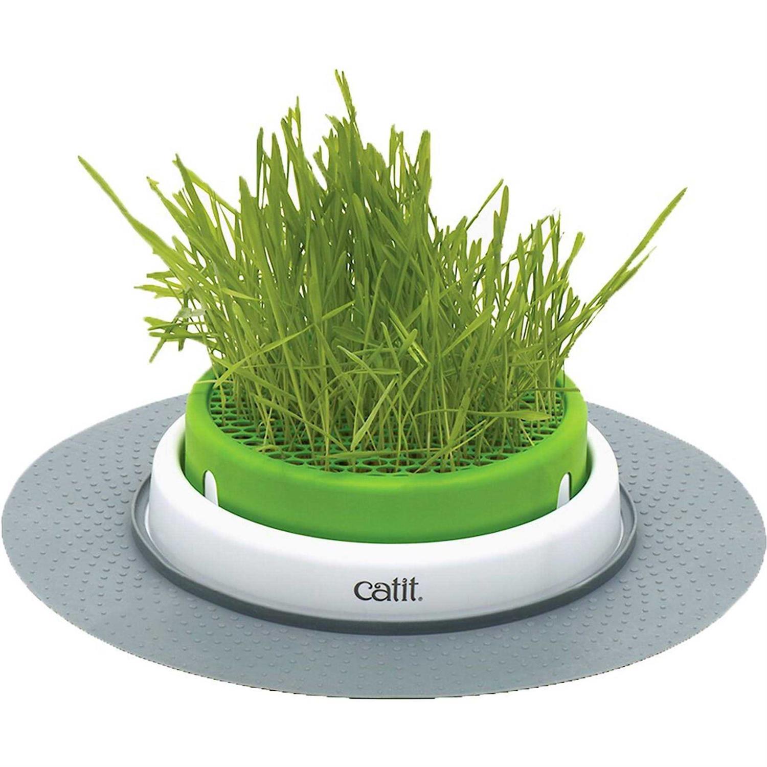 Catit Senses 2.0 Grass Planter - Healthber