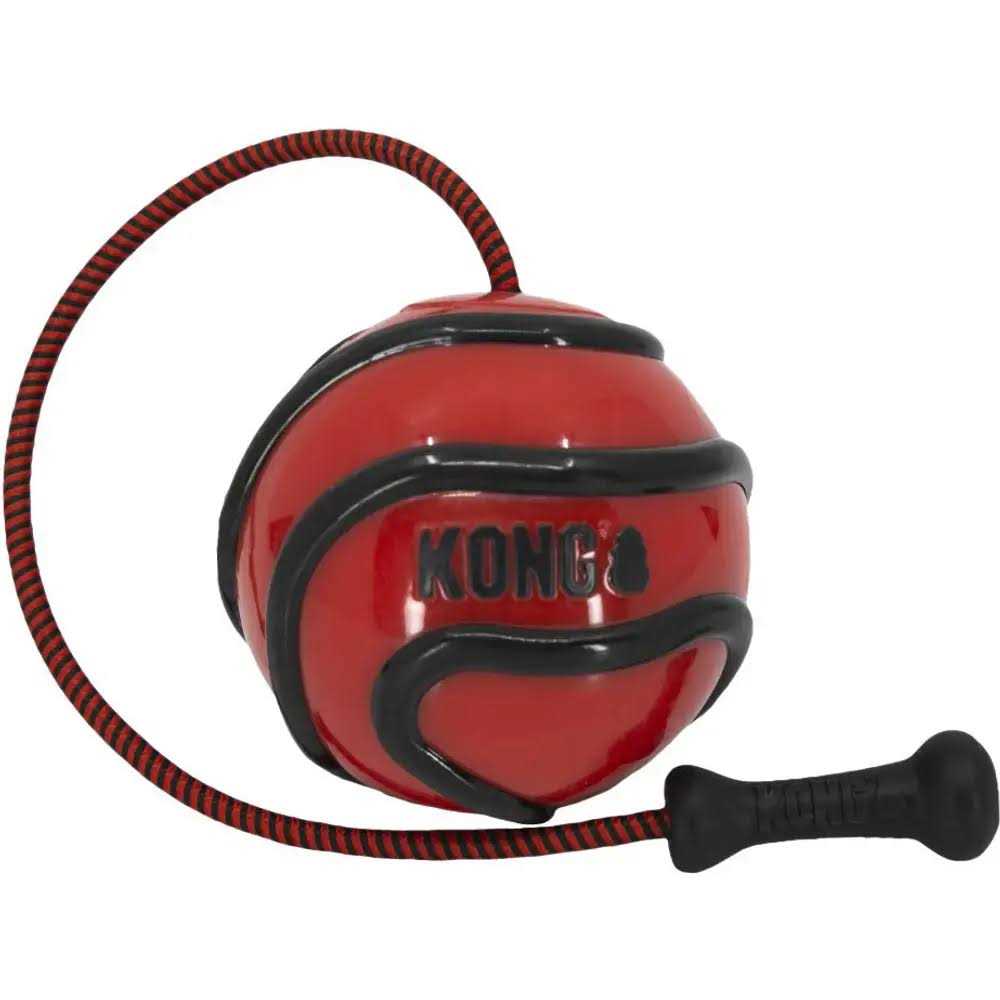 KONG Wavz Bunji Ball Dog Toy Large - Healthber
