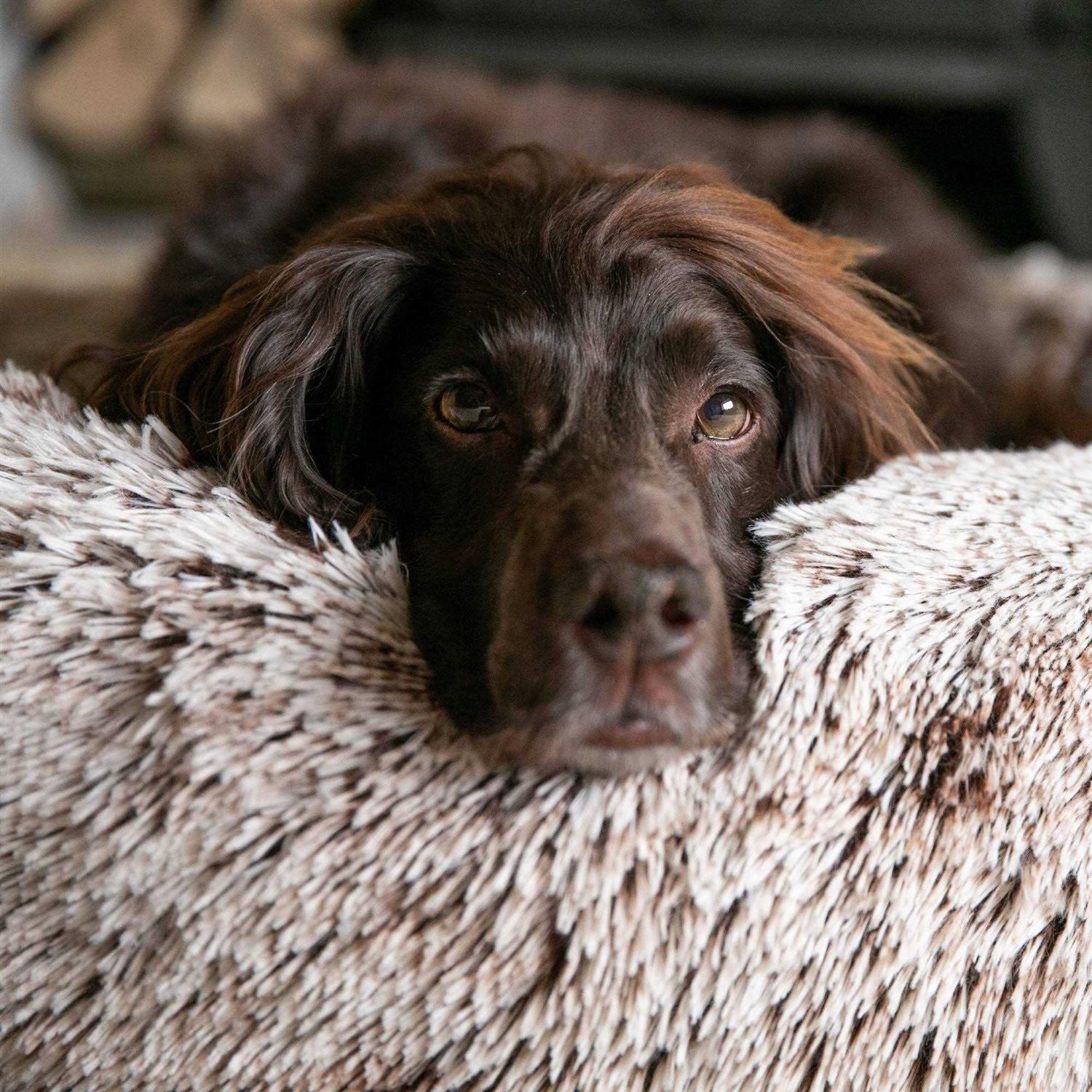 Hugo & Hudson Calming Dog Bed - Healthber
