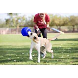 Jolly Pets Soccer Ball - Healthber