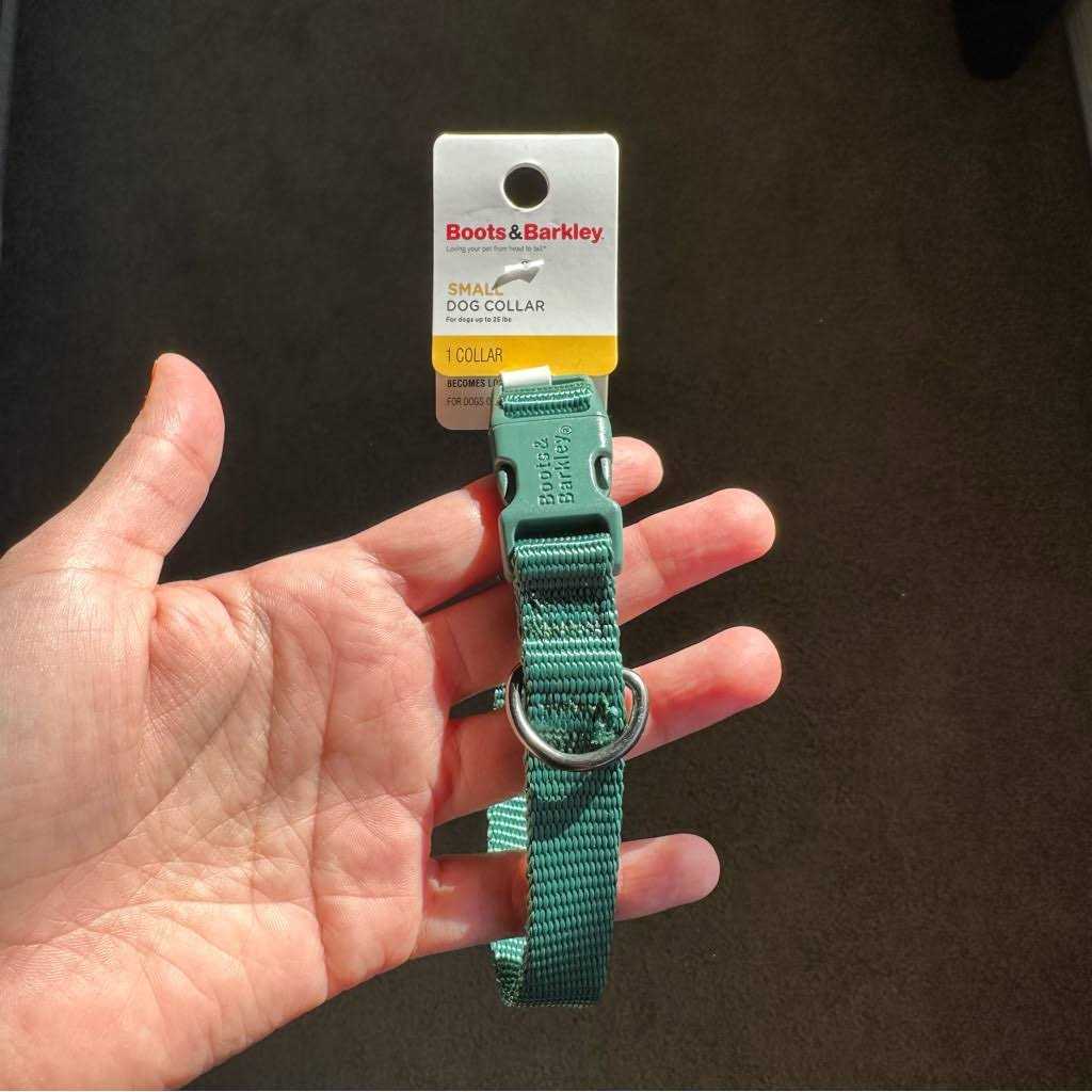 Boots & Barkley Basic Dog Collar - Healthber