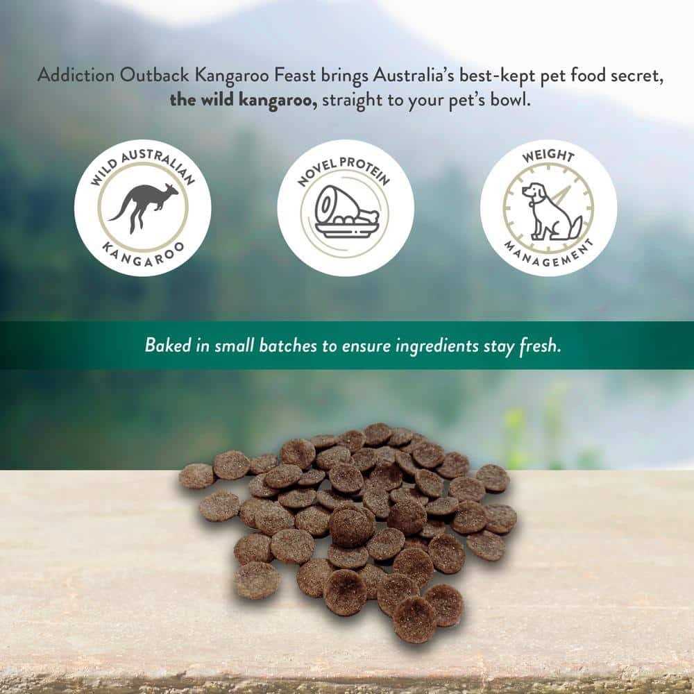 Addiction Wild Kangaroo & Apples Dry Dog Food Limited Ingredient Premium Protein - Healthber