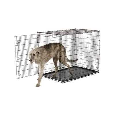 Frisco Heavy Duty Single Door Wire Dog Crate, XX-Large - Healthber