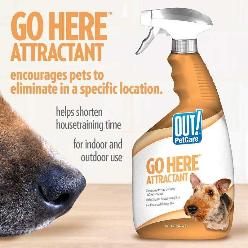 Out! Petcare Go Here Attractant Indoor and Outdoor Dog Training Spray - Healthber