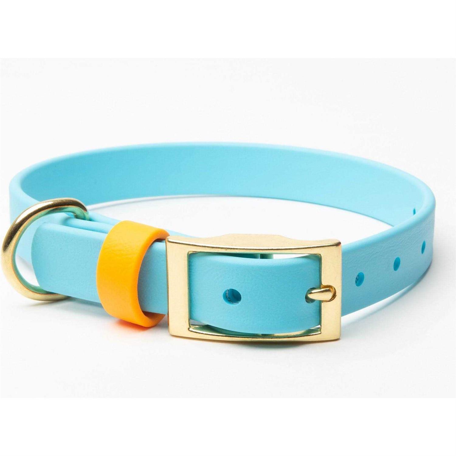 Pawfurever’s Waterproof & Odorless Dog Collar - Healthber