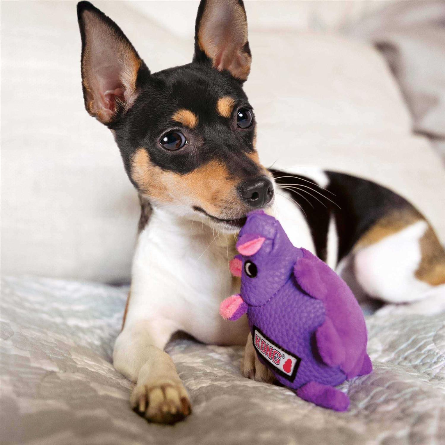 KONG Phatz Pig Dog Toy - Healthber