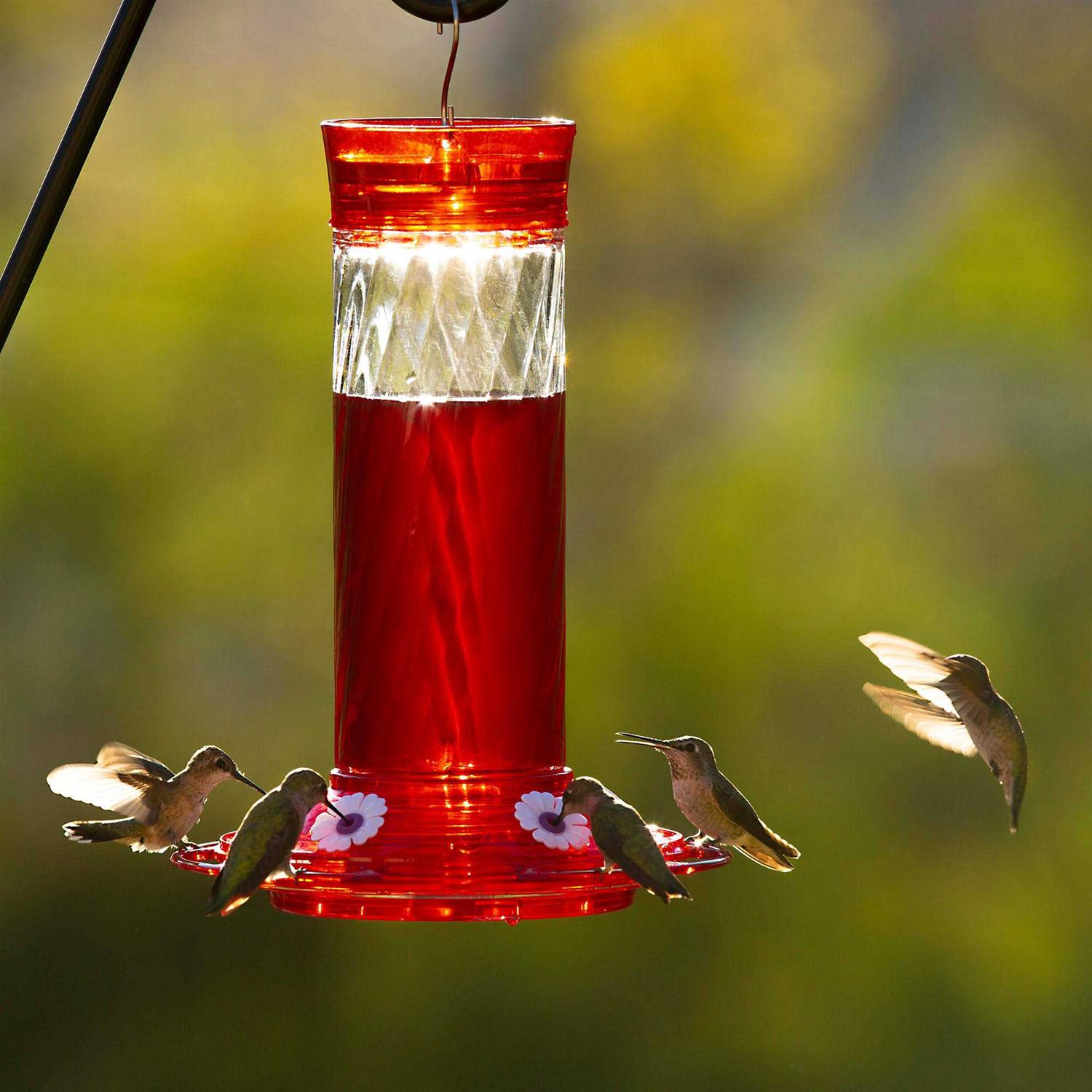 More Birds Health Plus Ready to Use Hummingbird Nectar Natural - Healthber