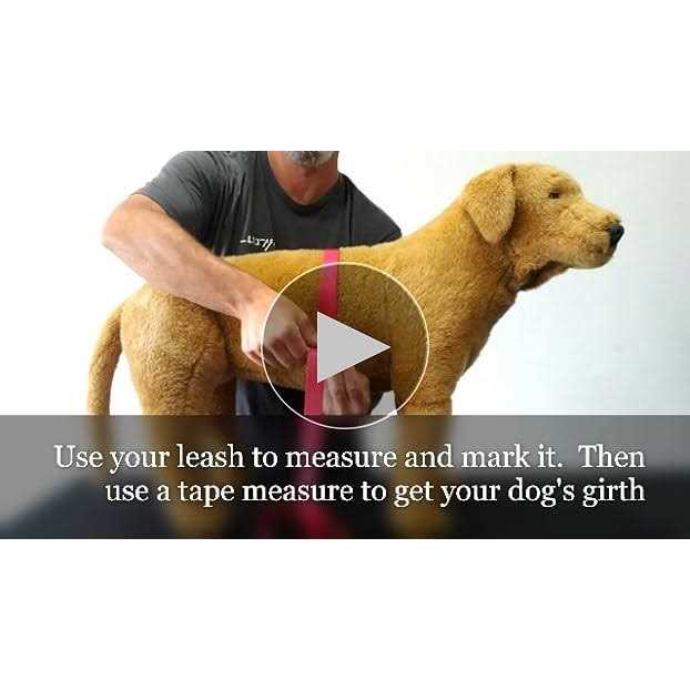 Doggie Stylz Dog Vest Harness Comes with 2 Reflective Removable Patches Please Measure Dog - Healthber