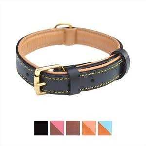 Soft Touch Collars Leather Dog Collar Padded - Healthber