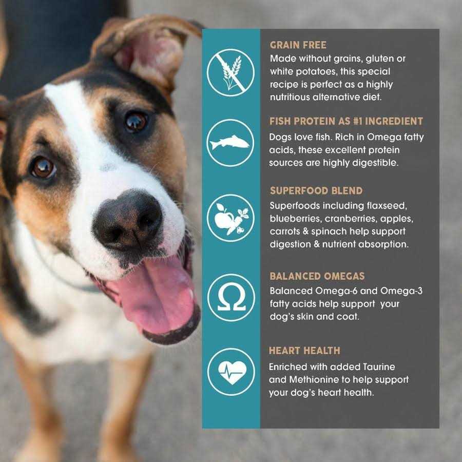 Earthborn Holistic Coastal Catch Grain Free Dog Food - Healthber